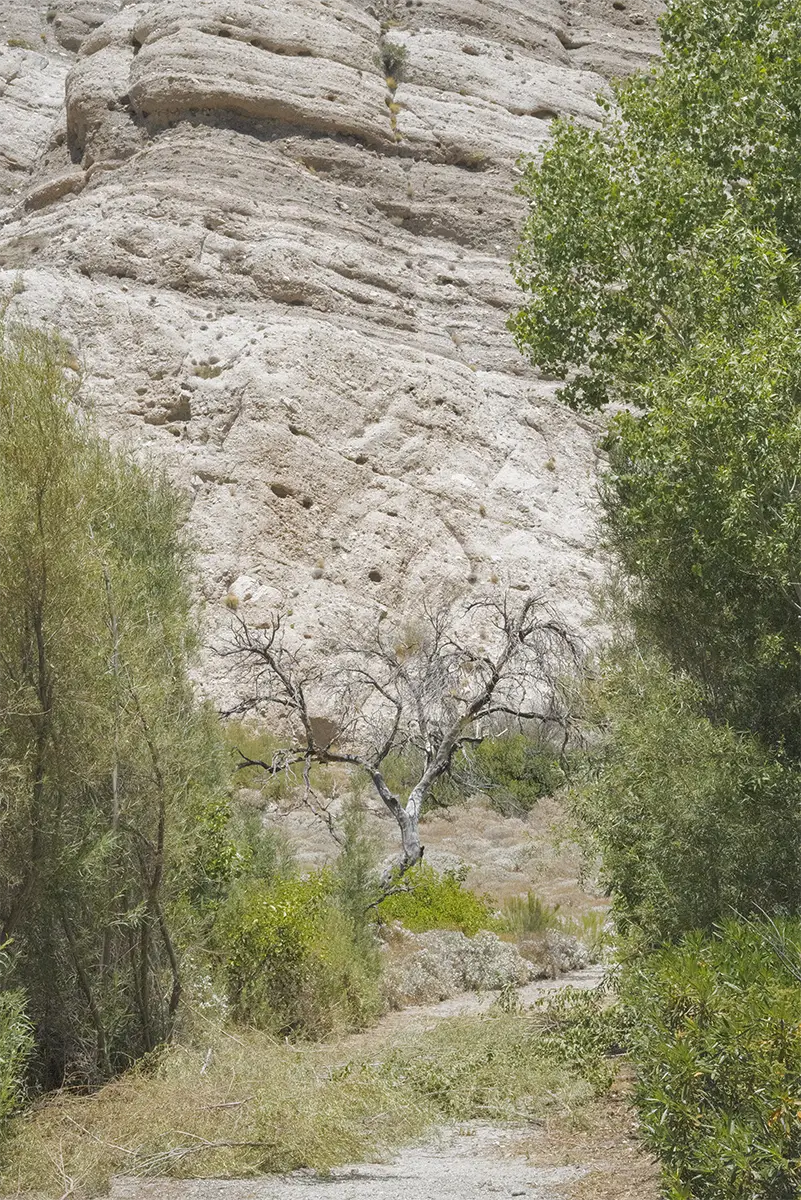 Whitewater, CA, US