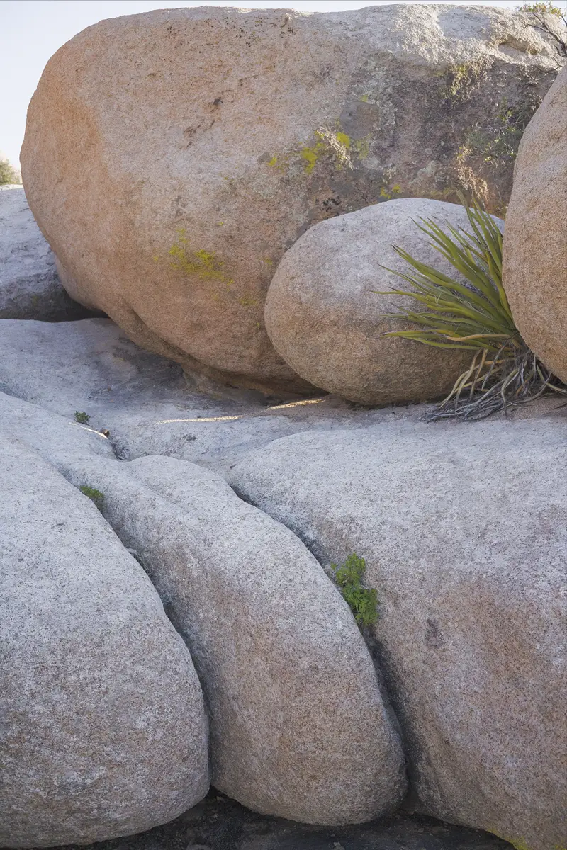 Joshua Tree, CA, US