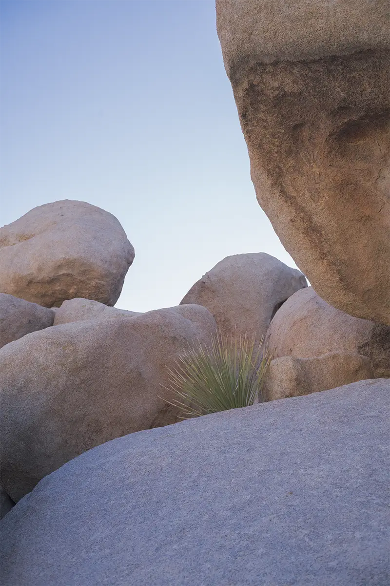 Joshua Tree, CA, US