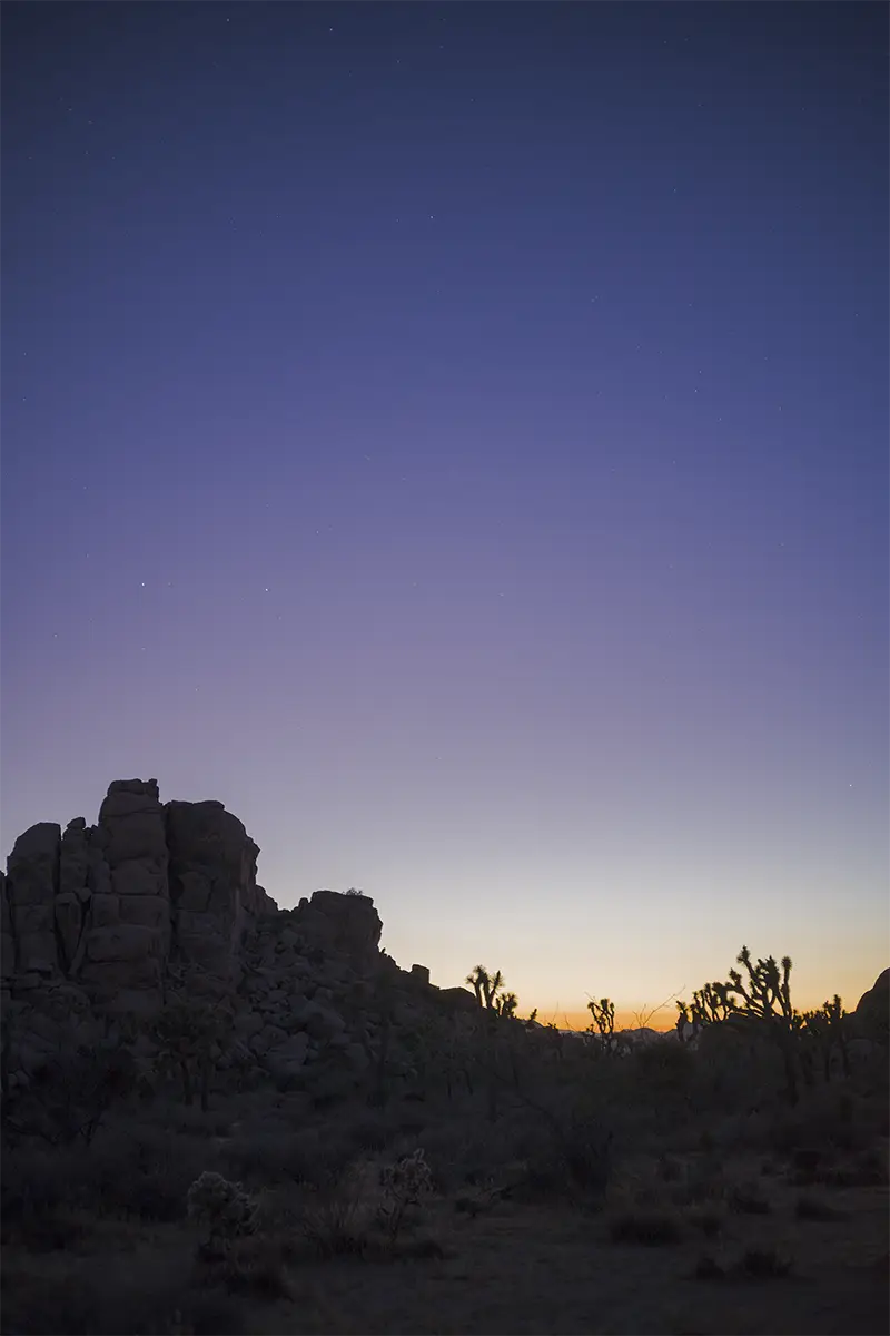 Joshua Tree, CA, US