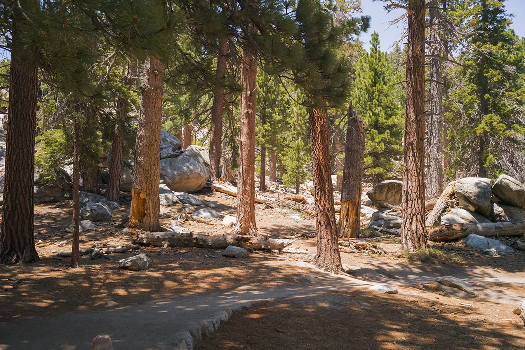 Mt. San Jacinto, CA, US