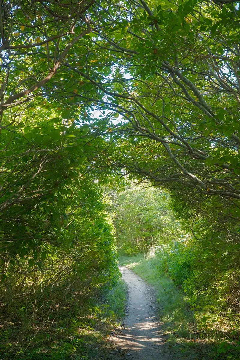 East Hampton, NY, US