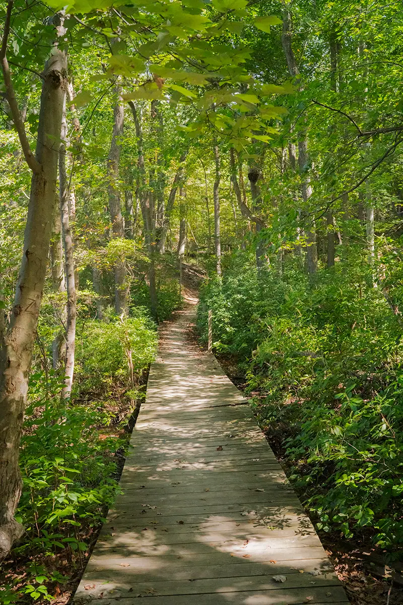 Matawan, NJ, US